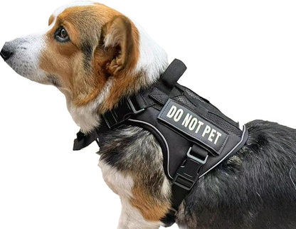 Tactical Dog Harness for Small and Medium Breeds, Air Dog Vest No Pull with Reflective Do Not Pet Patches, Breathable Dog Molle Vests for Training Walking Hunting Black