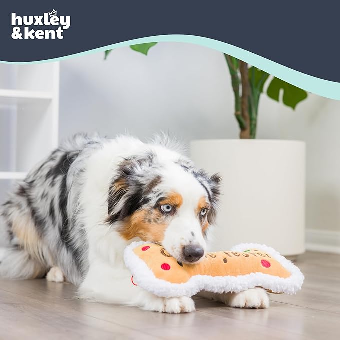 Huxley & Kent Funny Dog Toy w/Squeaker – Holiday Power Plush Squeaky Dog Toys for Small, Medium & Large Dogs – Soft Stuffed Animal for Indoor Play & Fetch - Cookie Tester Bone, Small