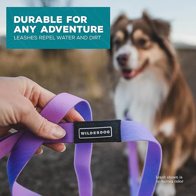 Wilderdog Waterproof Dog Leash - Repels Water & Dirt - Aurora
