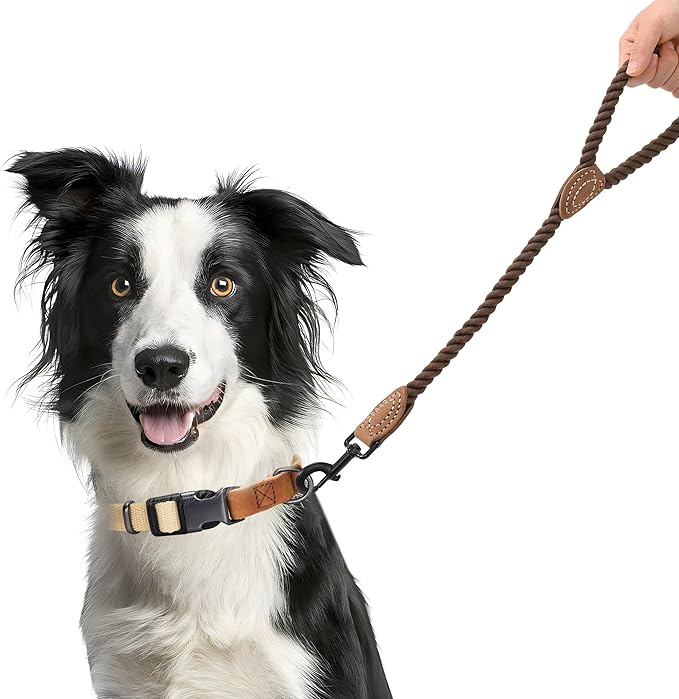 Mile High Life Short Dog Leash, Braided Cotton Rope Leashes with Leather Tip - Heavy Duty Metal Clasp, 18IN, 1/2" Thick - Wedding, Walking & Training Leash for Medium Large Dogs
