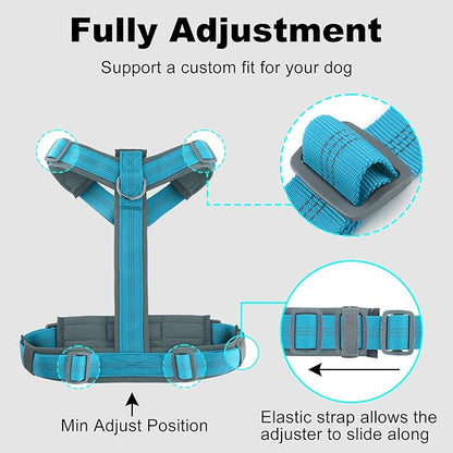 Plutus Pet No Pull Dog Harness, Adjustable Nylon Harness with Soft Padding, Reflective and Heavy Duty Dog Harness for Small, Medium, Large Dogs(Cyan, XL)