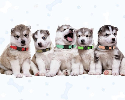 20 PCS Puppy Collars for Litter,Puppy Collars for Small Puppies,Nylon Breakaway ID Collar Whelping Litter Collars(M)