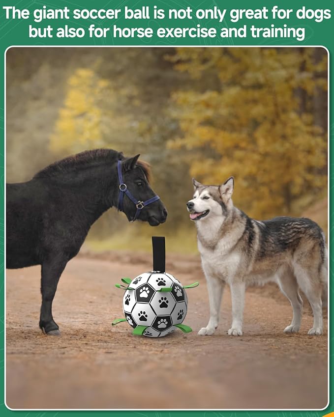 QDAN 10 Inch Gaint Dog Soccer Ball with Straps, Durable Big Dogs Balls, Outdoor Large Dog Toys, Herding Balls for Dogs, FloatingToy, Birthday Gifts (10 Inch)
