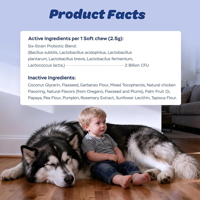 Dog Probiotic Soft Chews – 6-Strain Blend for Digestive & Immune Health – Supports Gut Balance, Reduces Gas, Tasty Daily Treat for Dogs-120 Count
