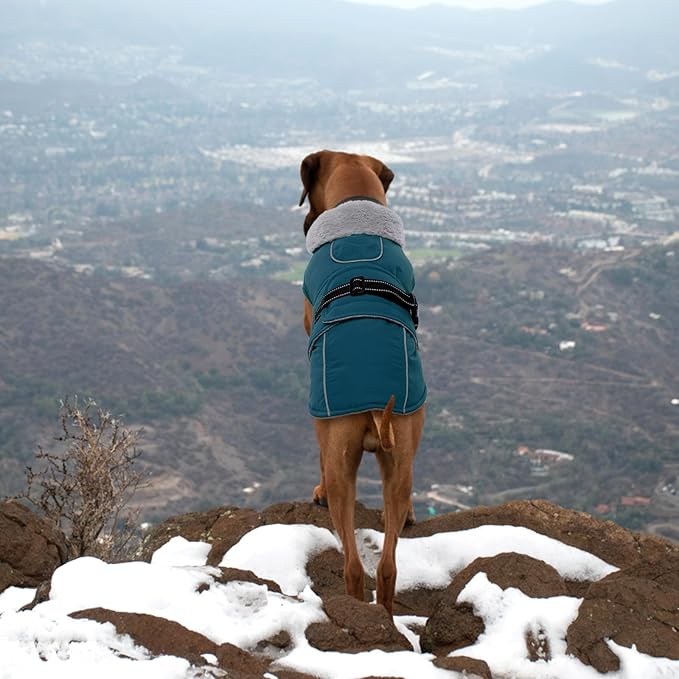 Lelepet Warm Dog Coats for Large Dogs Waterproof Dog Winter Jacket Reflective Pet Fleece Vest Windproof Cold Weather Coats with Adjustable Buckle & Leash Hole, Dark Green, L