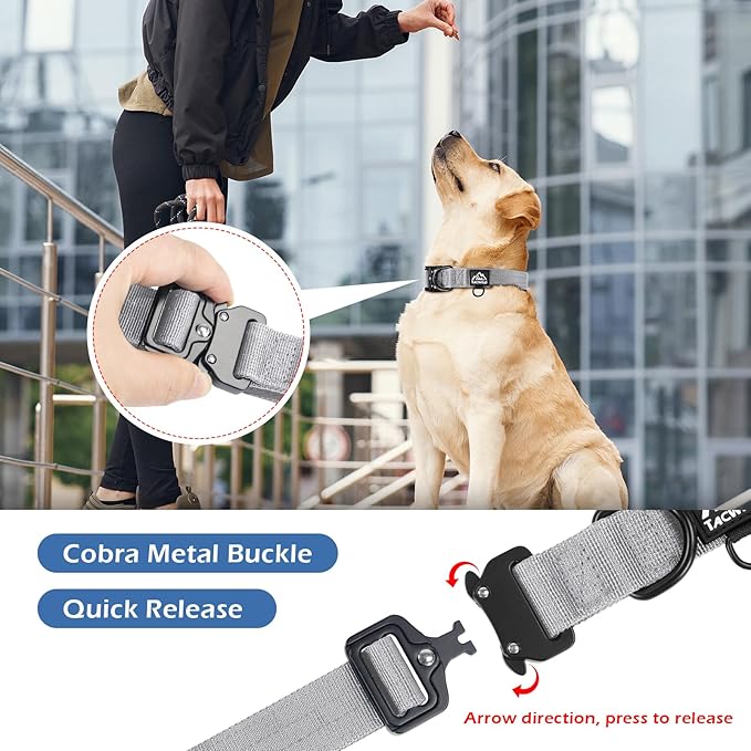 Dog Collar for Large Dogs - Adjustable, Chew Proof Nylon Collar with Metal Quick Release Buckle and D-Ring for Dog Tags (Alaska Daybreak, 2XL(1.5''Width, Fit 20''-32''))