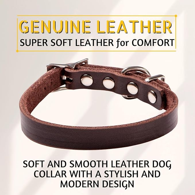 ADITYNA Extra-Small Leather Dog Collar for XS Dogs - Classic, Soft, Strong, Heavy Duty, Handmade Top-Grain Leather - for Walking, Training, and Hiking
