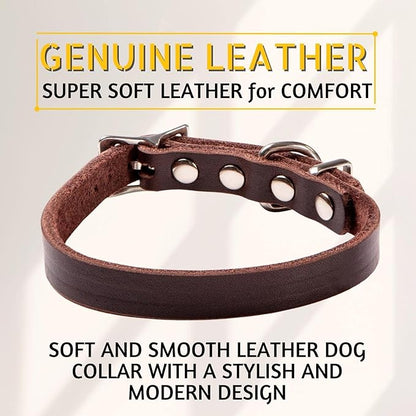 ADITYNA Extra-Small Leather Dog Collar for XS Dogs - Classic, Soft, Strong, Heavy Duty, Handmade Top-Grain Leather - for Walking, Training, and Hiking