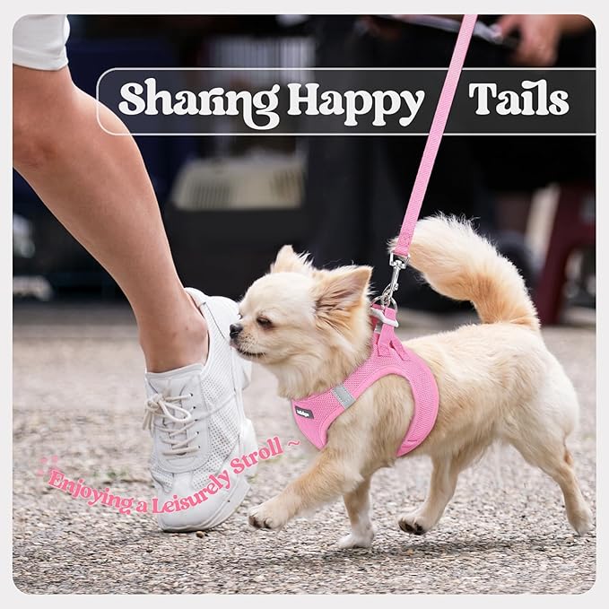 rabbitgoo Dog Harness Small Medium Sized and Leash Set, Step in Soft Light Puppy Vest, Breathable Mesh Pet Harness, Reflective for Safe Easy Walking, Light Pink XL