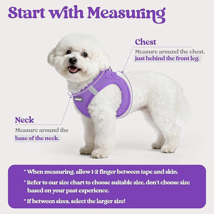 rabbitgoo Dog Harness Small Sized and Leash Set, Step in Soft Light Puppy Vest, Breathable Mesh Pet Harness, Reflective for Safe Outdoor Walking, Purple S