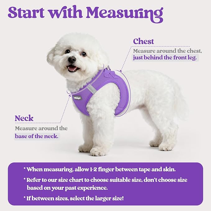 rabbitgoo Dog Harness Small Sized and Leash Set, Step in Soft Light Puppy Vest, Breathable Mesh Pet Harness, Reflective for Outdoor Safe Walking, Purple XXL
