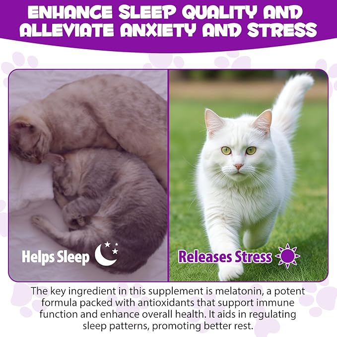 asusxcli Melatonin for Cats - Cat Calming Treats- Cat Sedative for Grooming - Helps to Support Restful Sleep for Your Cat - Cat Sleep Aid - Anxiety Relief for Cats