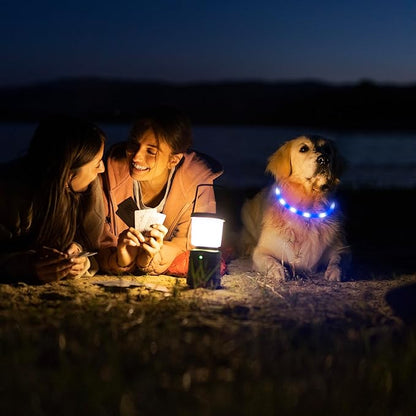 HIGO Light Up Dog Collar, Lightweight LED Dog Collar for Dogs Cats, USB Rechargeable LED Dog Necklace Light Makes Your Beloved Dogs Glow in The Dark (Blue-Silicone)