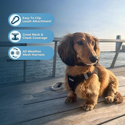 Best Pet Supplies Voyager Step-in Air Harness - All Weather Mesh, Reflective, No Pull Harness for Dogs, Cats - Secure with Hook & Loop Fastener, Buckle, Double D-Rings - Black, L