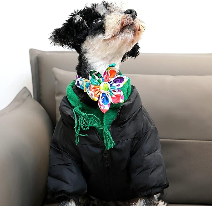 Lionet Paws Dog Collar with Flower, Soft and Comfortable, Adjustable Collar for Puppies and Cats Girl, Neck 8-12 inches