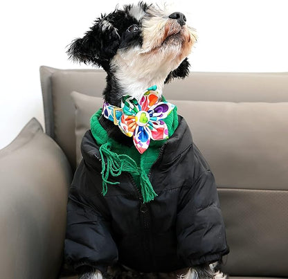 Lionet Paws Dog Collar with Flower, Soft and Comfortable, Adjustable Collar for Small Dogs Girl, Neck 10-16 inches