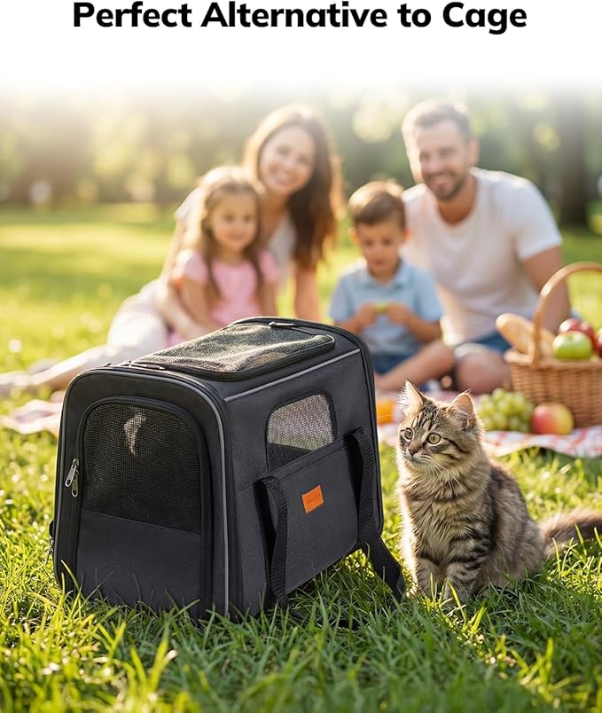 Morpilot Pet Travel Carrier Bag, Soft-Sided Dog Carrier Cat Carrier Pet Carrier, for Large Cats and Medium Puppies up to 25lbs, with Locking Safety Zippers, Foldable Bowl (Dark Gray)