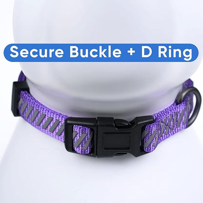 Pawtitas Reflective Dog Collar - Personalized Name & Phone Number, Adjustable for Small Dogs & Puppies, Purple