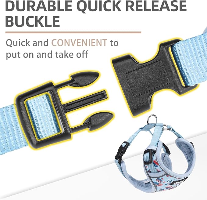 PUPTECK Small Dog Harness and Leash Set, No Pull Adjustable Puppy Cat Harness, Reflective Soft Mesh Pet Vest Small Sized, American Style, S
