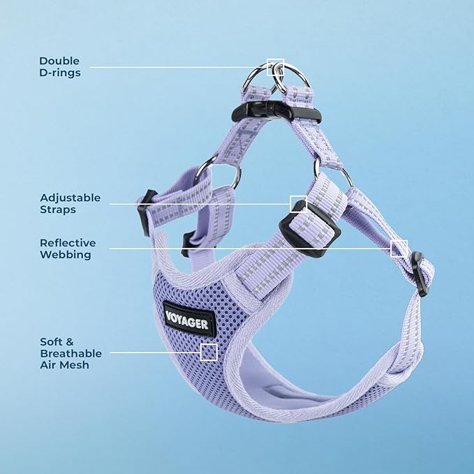Best Pet Supplies Voyager Adjustable Step-in Flex Breathable Mesh Dog Harness for Small Medium Large Dogs (Lavender), XS