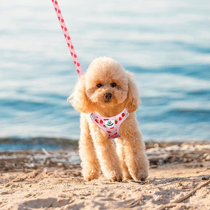 EXPAWLORER Small Dog Harness and Leash Set - Cute Puppy Harness Leash Dog Collar with AirTag Holder Silicone Case, Soft Padded Step in Pet Vest Reflective for Outdoor Walking, Strawberry XS
