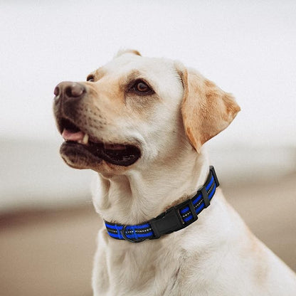 Mile High Life Reflective Dog Collar | Nylon Pet Collars wiith Buckle | Light Weight Puppy Collars | Blue Dog Collars for Medium Dogs (Blue, M)