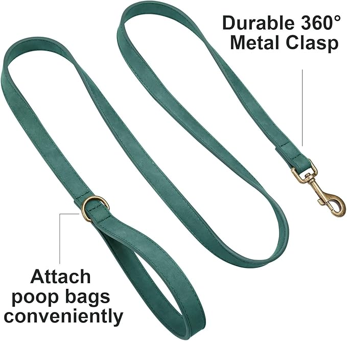 Didog Stylish PU Leather Dog Leash for Small Dogs, Easy to Clean 5ft Small Dog Leash with Metal Tangle-Free Clip, Fashionable and Elegant for Walking, Running and Training,Green, S