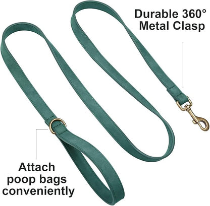 Didog Stylish PU Leather Dog Leash for Small Dogs, Easy to Clean 5ft Small Dog Leash with Metal Tangle-Free Clip, Fashionable and Elegant for Walking, Running and Training,Green, S