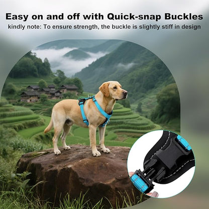 Plutus Pet Adjustable No Pull Dog Harness with Leather Accents, Heavy Duty Reflective Nylon Vest for Training, Hiking, Easy Walk Harness for Small, Medium, Large Dogs (Light Blue, M)