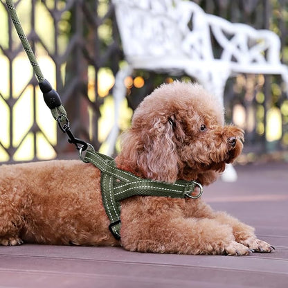 Plutus Pet No Pull Dog Harness with Breathable Mesh Padded, Adjustable Reflective Escape Proof Dog Harness, Quick Fit Dog Vest Harness for Small Medium Large Dogs(XXS, Ranger Green)