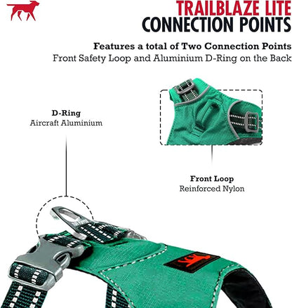 Tuff Pupper All-Day Wear Dog Harness | for Walking, Trail Running, Hiking | Front & Back Leash Clips | Reflective Trim | Easy On/Off Buckles | Lightweight Breathable | No Pull Design (XXXS, Teal)