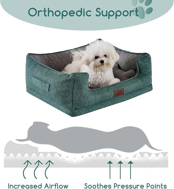 Hollypet Orthopedic Rectangle Dog Bed for Small Dogs, Supportive Egg-Crate Foam Pet Beds with Removable Washable Waterproof Cover and Non-Slip Bottom, Green, 23" L x 19" W x 8.5" Th