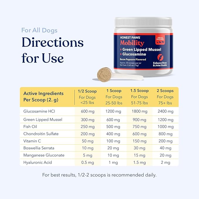 Honest Paws Glucosamine for Dogs – Joint & Mobility Supplement Powder with Green Lipped Mussel, Fish Oil & MSM – Supports Hip & Joint Health, Support Stiffness, Dog Supplies
