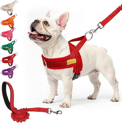 BEAUTYZOO No Pull Dog Harness Medium Sized Dog, Breathable Mesh Padded Dog Harness and Leash Set, Adjustable Reflective Escape Proof Dog Vest Harnessss Quick Fit for Training Walking, Red M