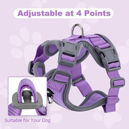Small Dog Harness and Leash Set, No Pull Adjustable Pet Harness for Small Dogs, Breathable Mesh Rflective Dog Vest Harness (Light Purple, XXS)