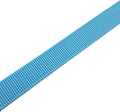TAIAN 5 FT Strong Dog Leash, Nylon Dog Leashes for Small Medium Large Dogs Blue