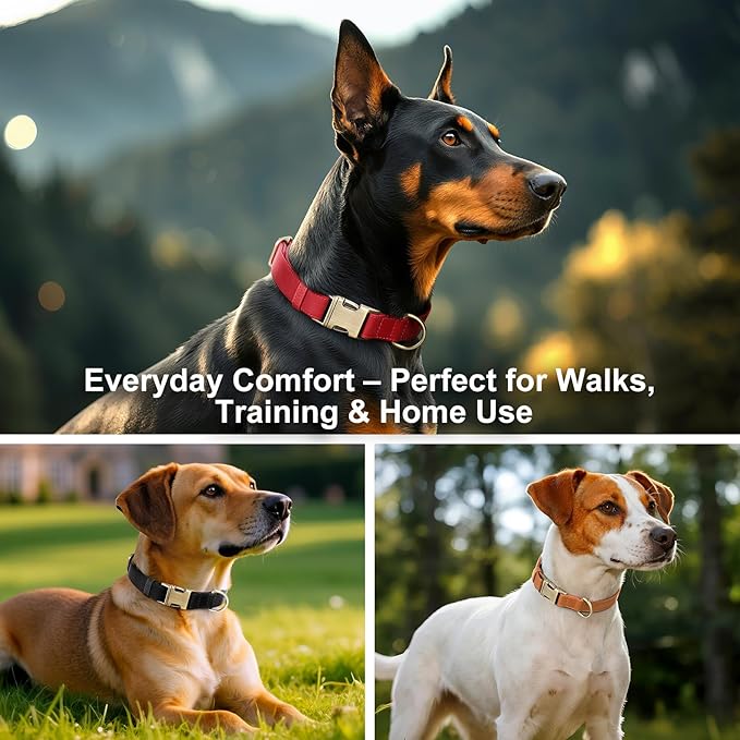 Plutus Pet Genuine Leather Dog Collar – Adjustable Pet Collar with Quick Release Metal Buckle, Soft Real Leather for Small Medium Large Dogs, Heavy Duty & Skin-Friendly (Ash Brown, L)