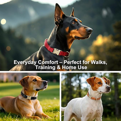 Plutus Pet Genuine Leather Dog Collar – Adjustable Pet Collar with Quick Release Metal Buckle, Soft Real Leather for Small Medium Large Dogs, Heavy Duty & Skin-Friendly (Ash Brown, L)