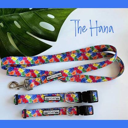 Lucky Love Dog - Adjustable Dog Collar with Easy Click Buckle for Small Ones, Durable, & Comfortable for Male & Female Dogs, Pet Collar for Puppies & Adult Dogs - Hana, XS