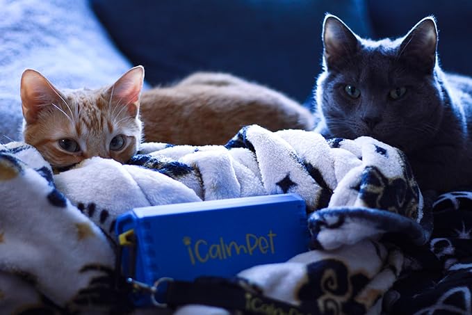 Cool Cat Gold Pak | iCalmPet Ruff 'n Ready Portable Speaker with 3-hr MicroSD Cat Calming Classical