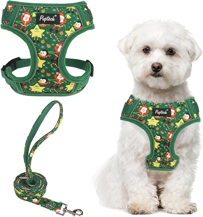 PUPTECK Christmas Small Dog Harness and Leash Set, No Pull Adjustable Puppy Cat Harness, Reflective Soft Mesh Pet Vest Small Sized, Santa Claus, M