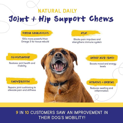 PupGrade Joint Support Supplement for Dogs - Natural Glucosamine Chondroitin with MSM - Hip & Joint Pain Relief - Recommended for Hip Dysplasia, Arthritis & Joint Disease - USA Tested - 180 Chews