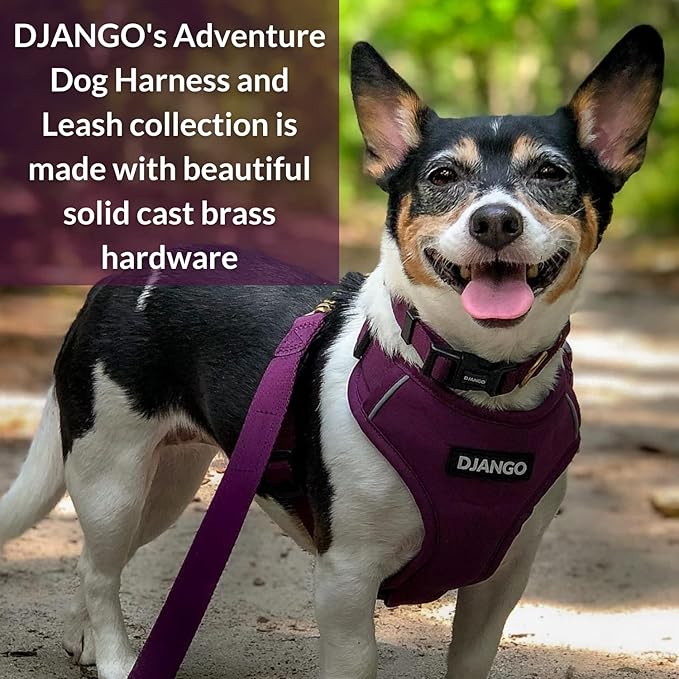 DJANGO Adventure Dog Leash – Strong, Comfortable, and Stylish Dog Leash with Solid Brass Hardware and Padded Handle - Designed for Outdoor Adventures and Everyday Use (Plum Purple)
