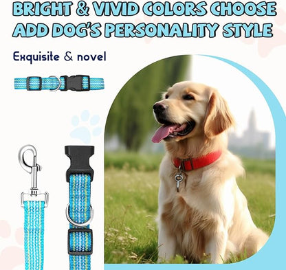 Reflective Dog Collar and Leash Set, Nylon Dog Leash with Heavy-Duty Steel D-Ring, Adjustable with Quick Release Buckle for Large Dogs,Cyan L