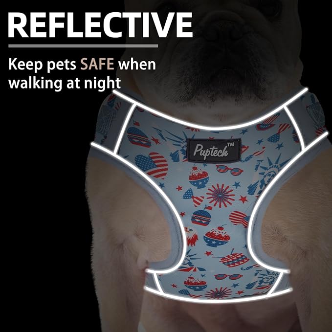 PUPTECK Small Dog Harness and Leash Set, No Pull Adjustable Puppy Cat Harness, Reflective Soft Mesh Pet Vest Small Sized, American Style, S
