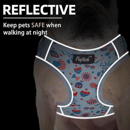 PUPTECK Small Dog Harness and Leash Set, No Pull Adjustable Puppy Cat Harness, Reflective Soft Mesh Pet Vest Small Sized, American Style, S