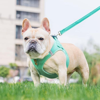 PUPTECK Dog Harness and Leash Set for Small Medium Dogs No Pull Step-in Soft Mesh Puppy Cat Vest Harnesses Reflective at Night, Denim Green L