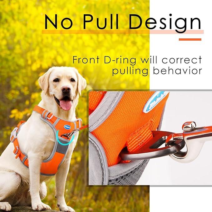ThinkPet No Pull Harness Set Breathable Sport Harness with Handle - Reflective Padded Dog Safety Vest with Reflective Neon Dog Leash M Harness Leash Pack Orange