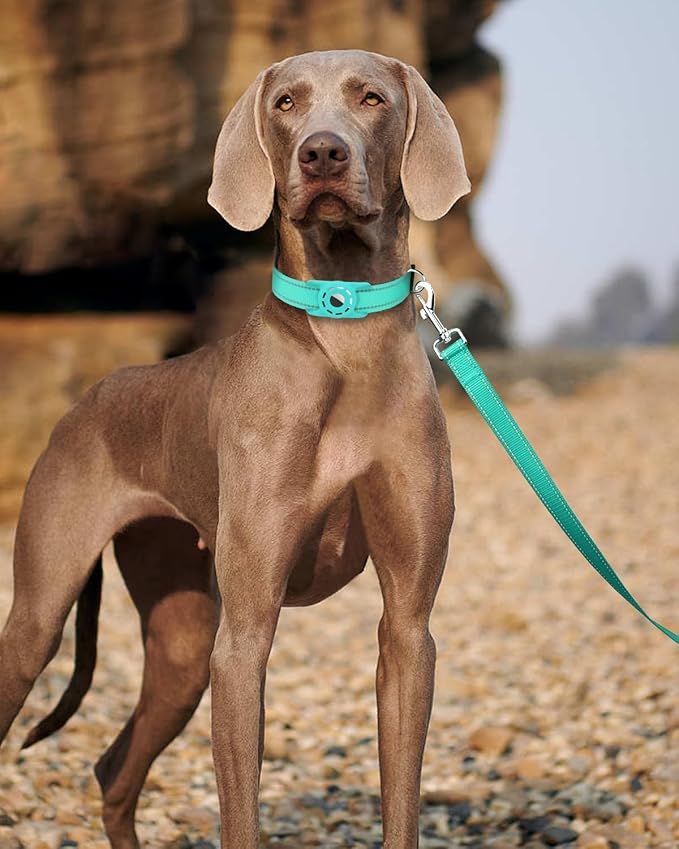 6FT Reflective Nylon Dog Leash with Soft Padded Handle for Walking, Running and Training, Supports Small Medium and Large Dogs (Turquoise, 1 Inch Wide)