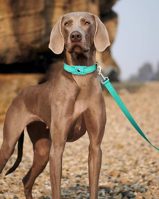4FT Reflective Nylon Dog Leash with Soft Padded Handle for Walking, Running and Training, Supports Small Medium and Large Dogs (Turquoise, 1 Inch Wide)